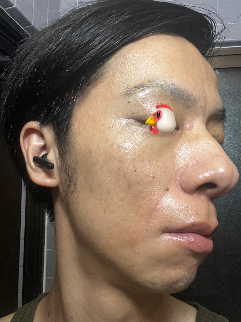 f:id:cyazuke:20241101182658j:image f:id:cyazuke:20241101182658j:image