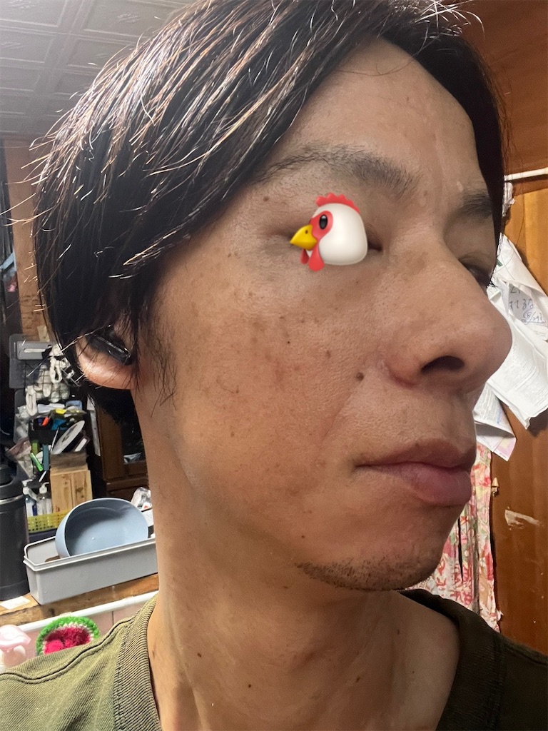 f:id:cyazuke:20241101182701j:image f:id:cyazuke:20241101182701j:image
