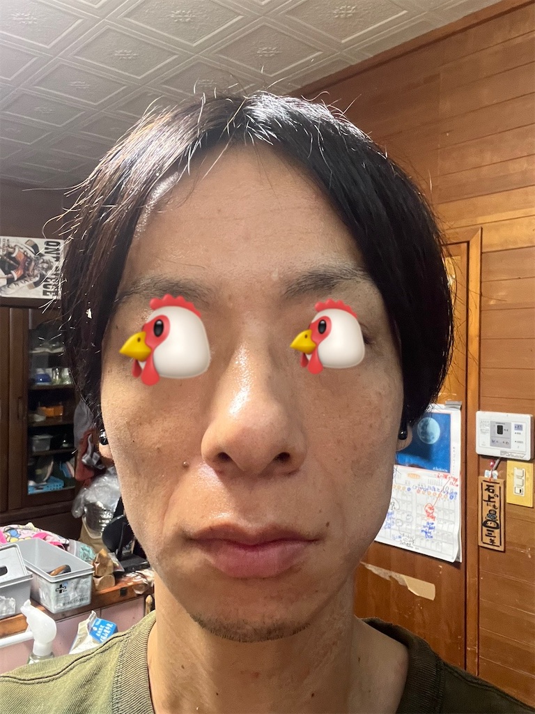 f:id:cyazuke:20241101182710j:image f:id:cyazuke:20241101182710j:image