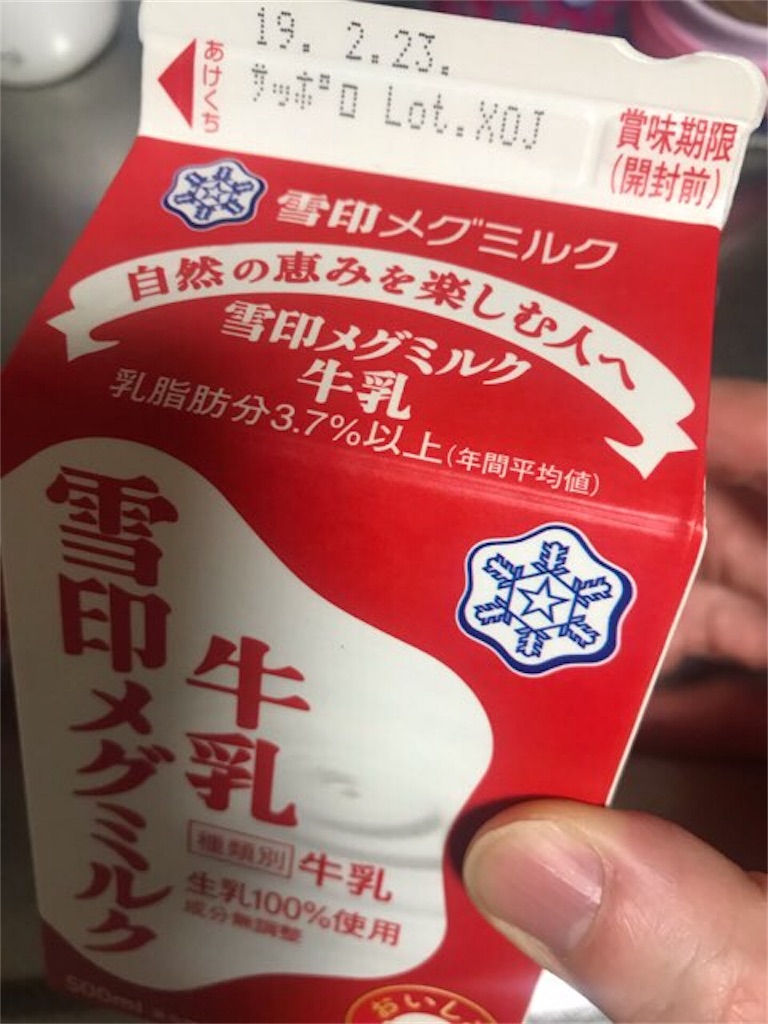 f:id:cyber-ohtuki:20190309173136j:image