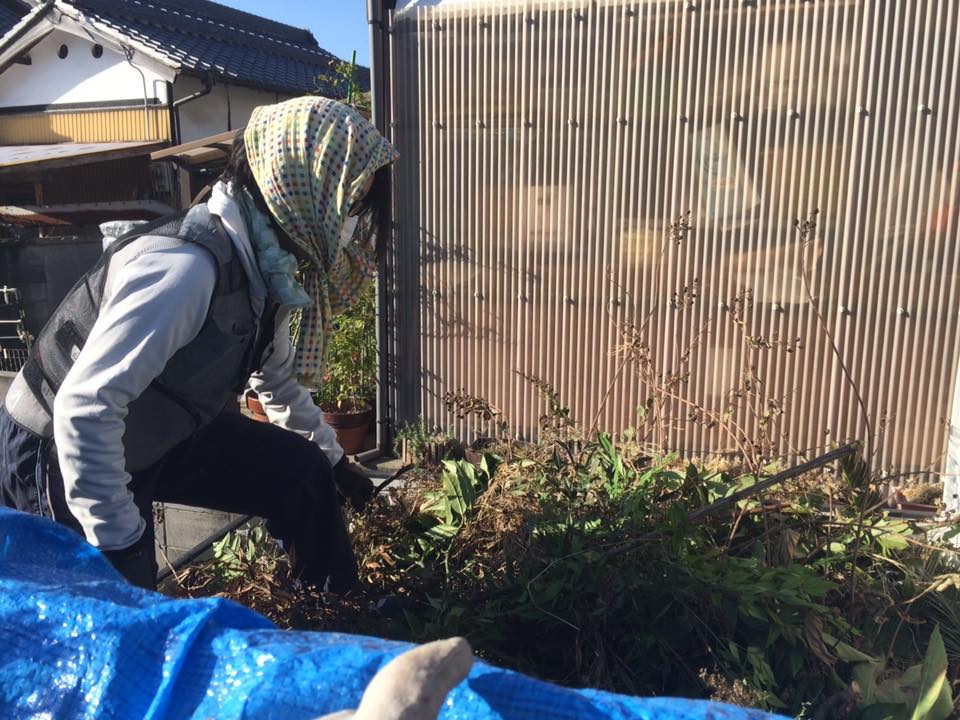 f:id:cyberagri:20170101225326j:plain