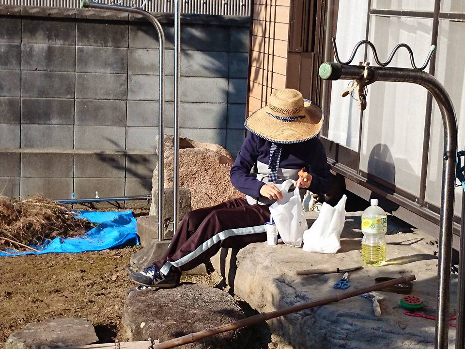 f:id:cyberagri:20170102224106j:plain