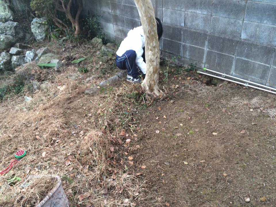f:id:cyberagri:20170102224315j:plain
