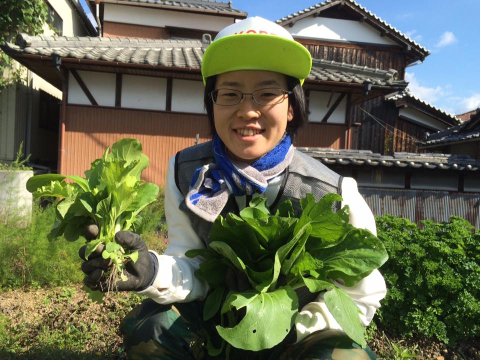 f:id:cyberagri:20170102224830j:plain