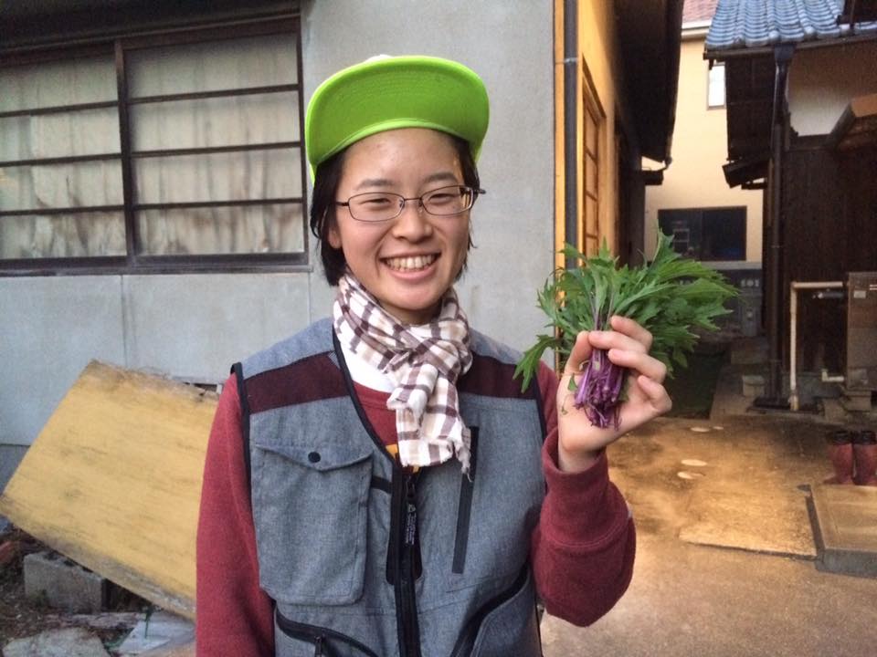 f:id:cyberagri:20170102224834j:plain