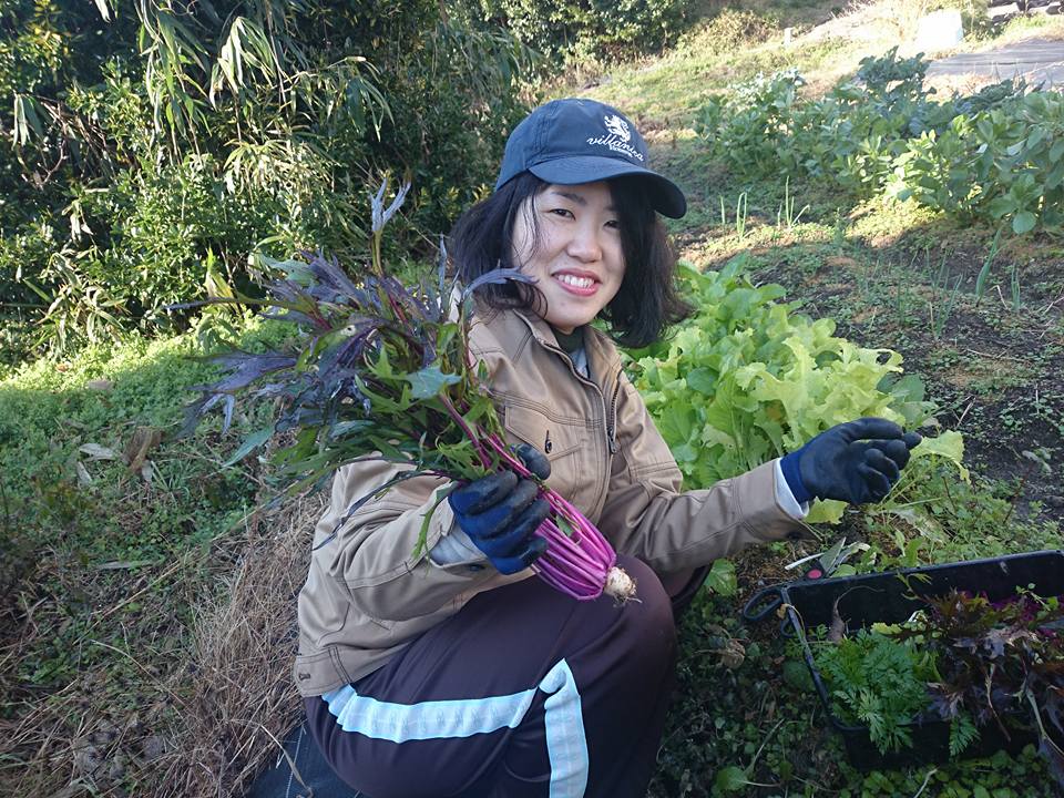 f:id:cyberagri:20170525084643j:plain