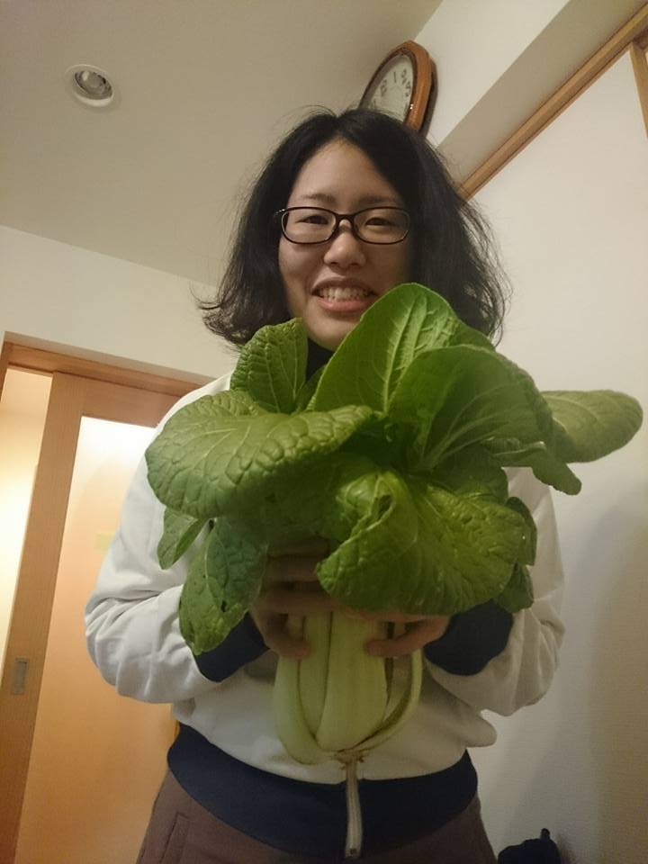 f:id:cyberagri:20170528215959j:plain