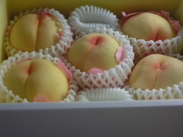 f:id:cyberlawissues:20170731110611j:image