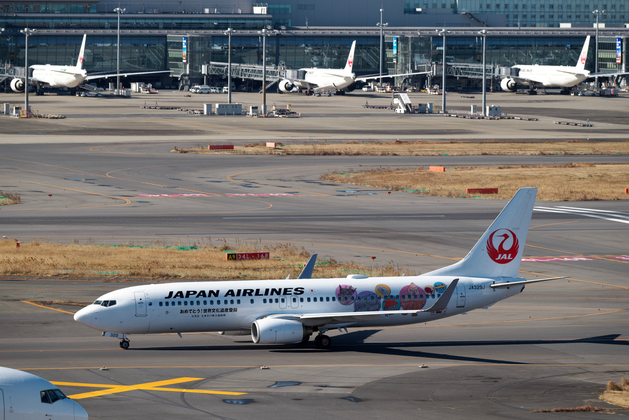 BOEING 737-800 JAL JA329J おめでとう！世界文化遺産登録 JAL、沖縄・奄美の世界遺産登録で特別塗装機 初便は奄美へ