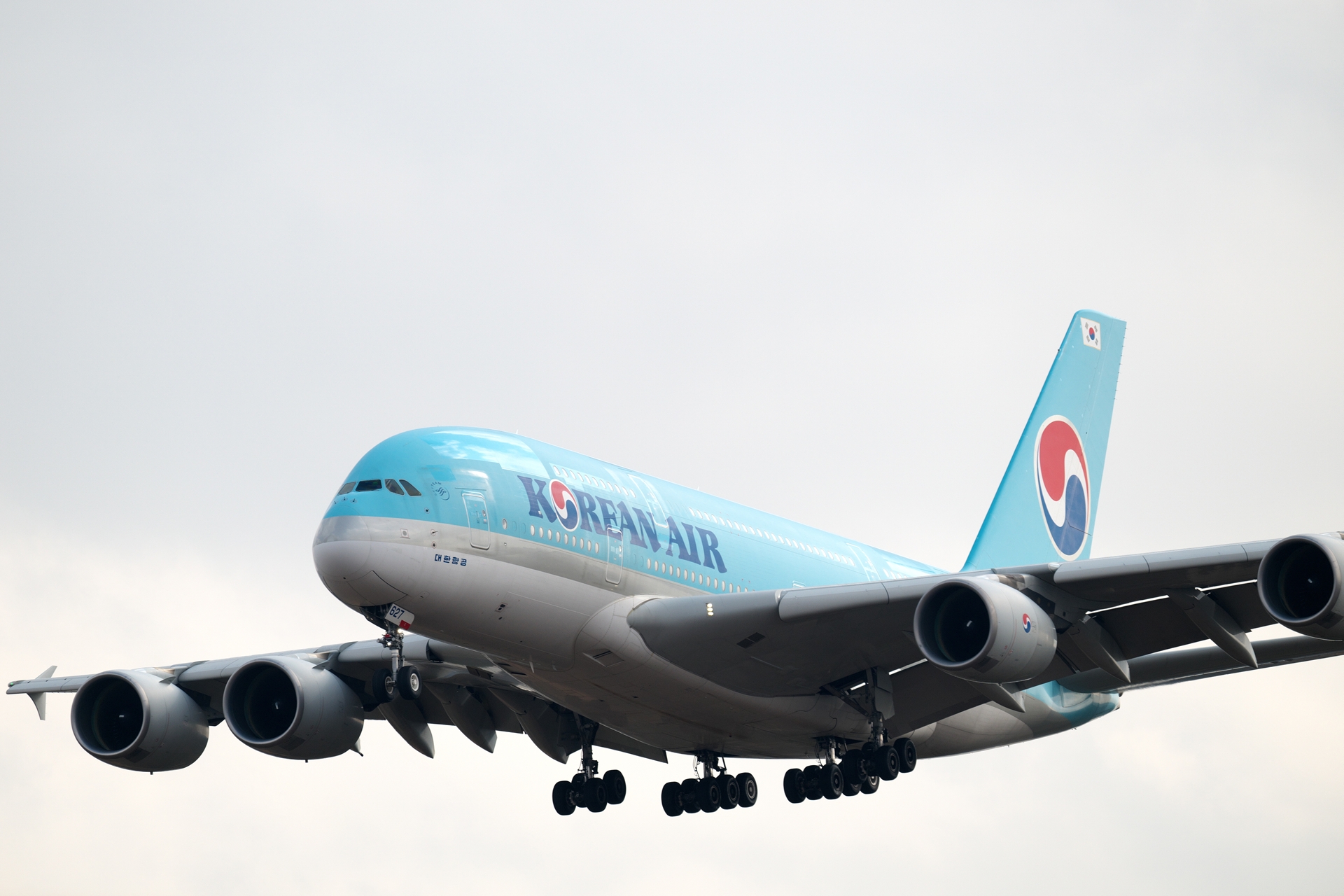 2025年1月24日 【成田空港】 - あさかぜみずほの趣味活動記録簿