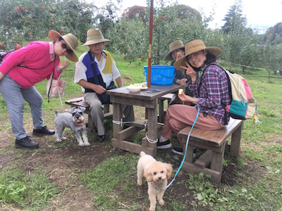 f:id:cycland_nakazawa:20161128182245j:plain