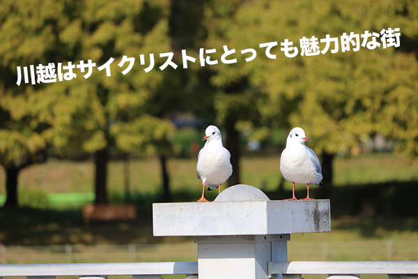 f:id:cycle-cycle:20180306154045j:plain
