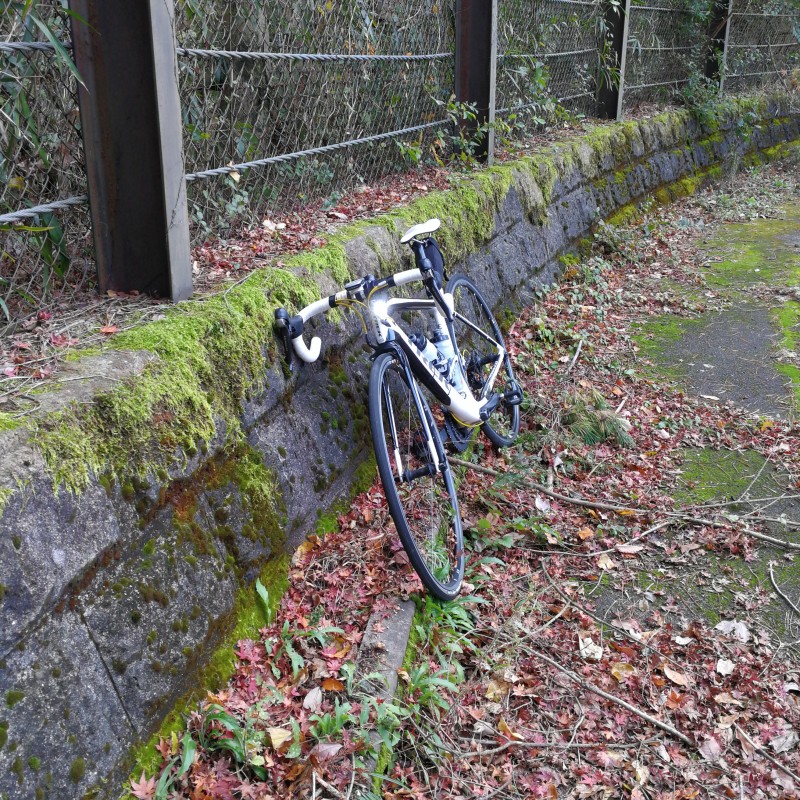 f:id:cycle-study-315:20171117141055j:plain