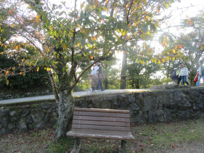 f:id:cycle_junrei:20171104224741j:plain f:id:cycle_junrei:20171104224741j:plain