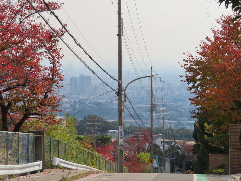 f:id:cycle_junrei:20201231180852j:plain