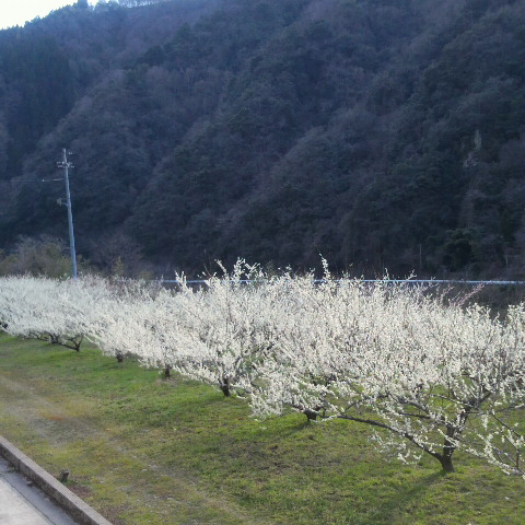 f:id:cycle_piyo:20170331032037j:plain f:id:cycle_piyo:20170331032037j:plain