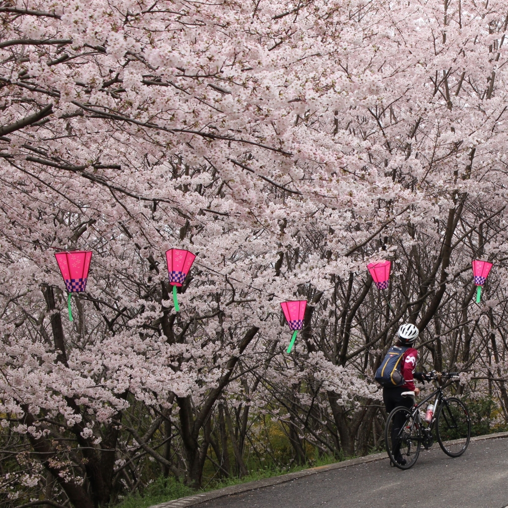 f:id:cycle_piyo:20170409213546j:plain