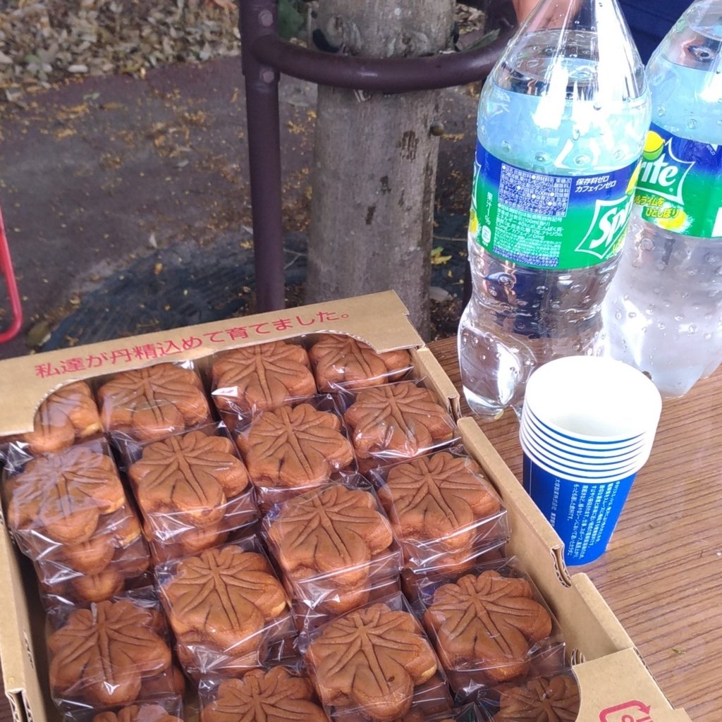 f:id:cycle_piyo:20180614130212j:plain