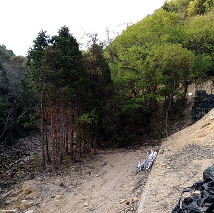 f:id:cycle_piyo:20190421232251j:plain