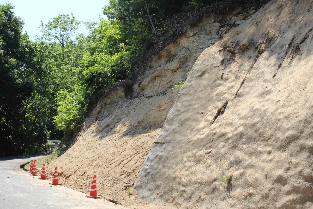 f:id:cycle_piyo:20190514230536j:plain