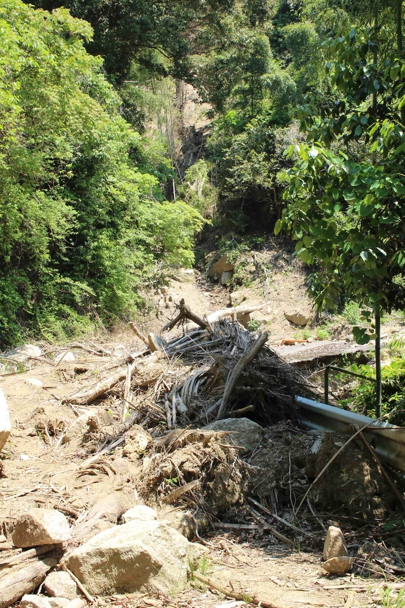 f:id:cycle_piyo:20190514231257j:plain