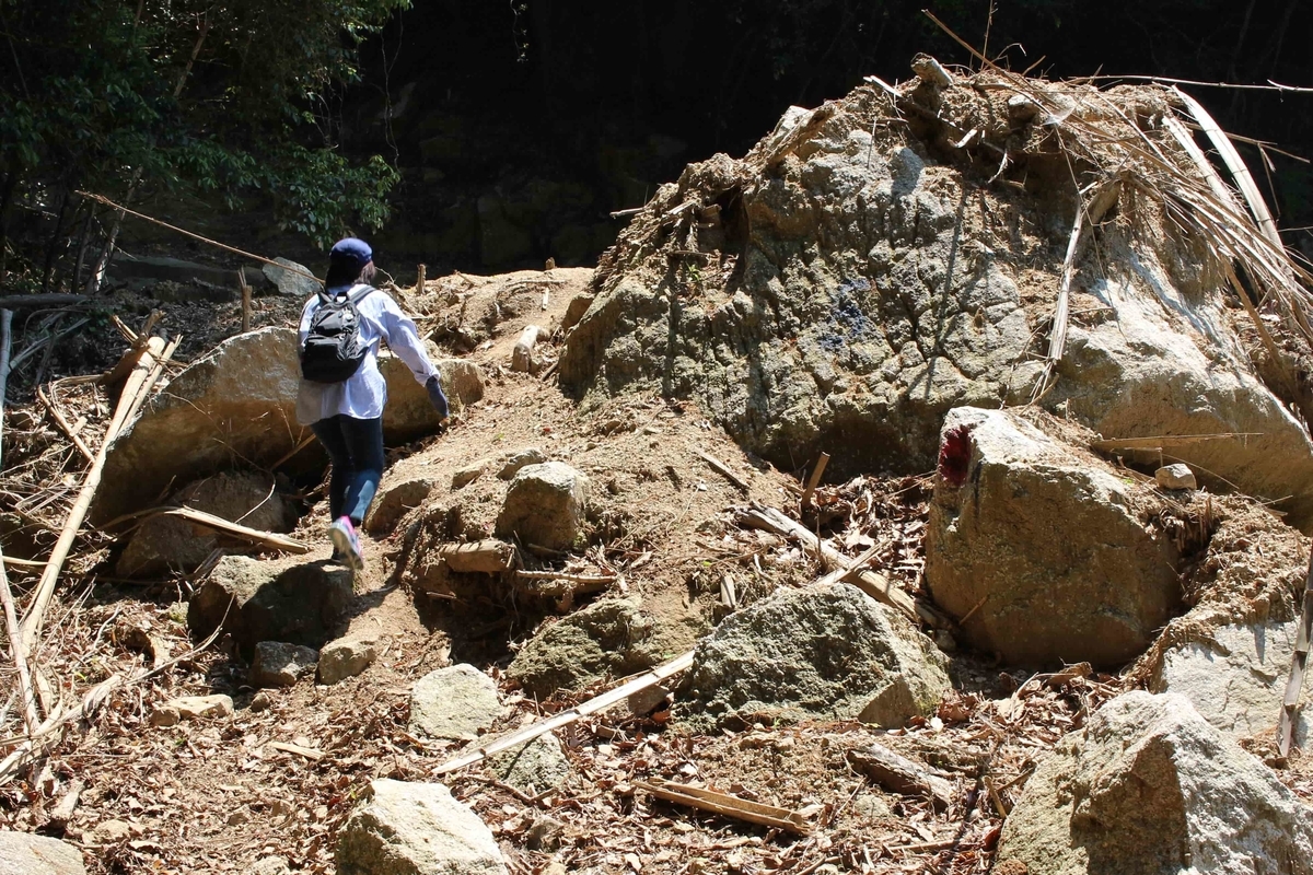 f:id:cycle_piyo:20190514231358j:plain