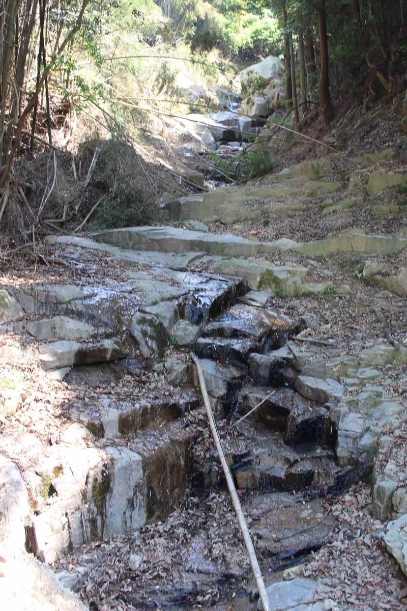 f:id:cycle_piyo:20190514231426j:plain