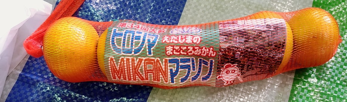 f:id:cycle_piyo:20191024053621j:plain f:id:cycle_piyo:20191024053621j:plain
