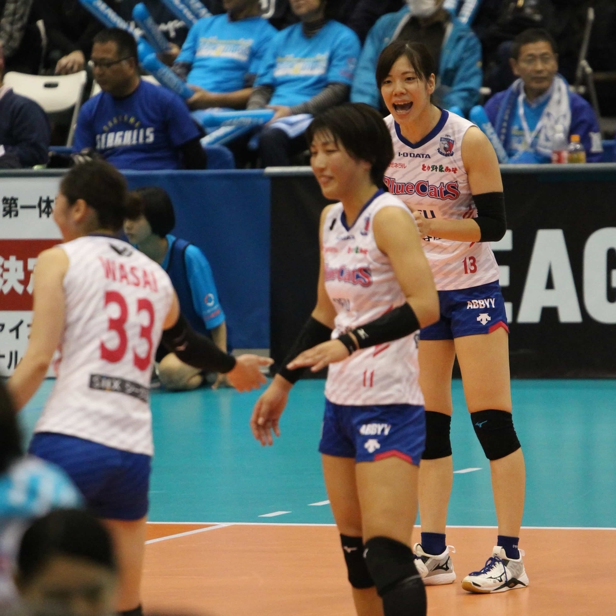 f:id:cycle_piyo:20191125231317j:plain