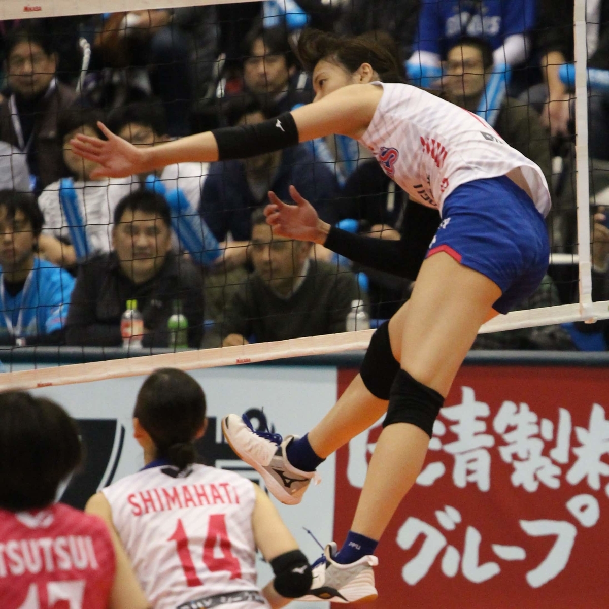 f:id:cycle_piyo:20191125231521j:plain