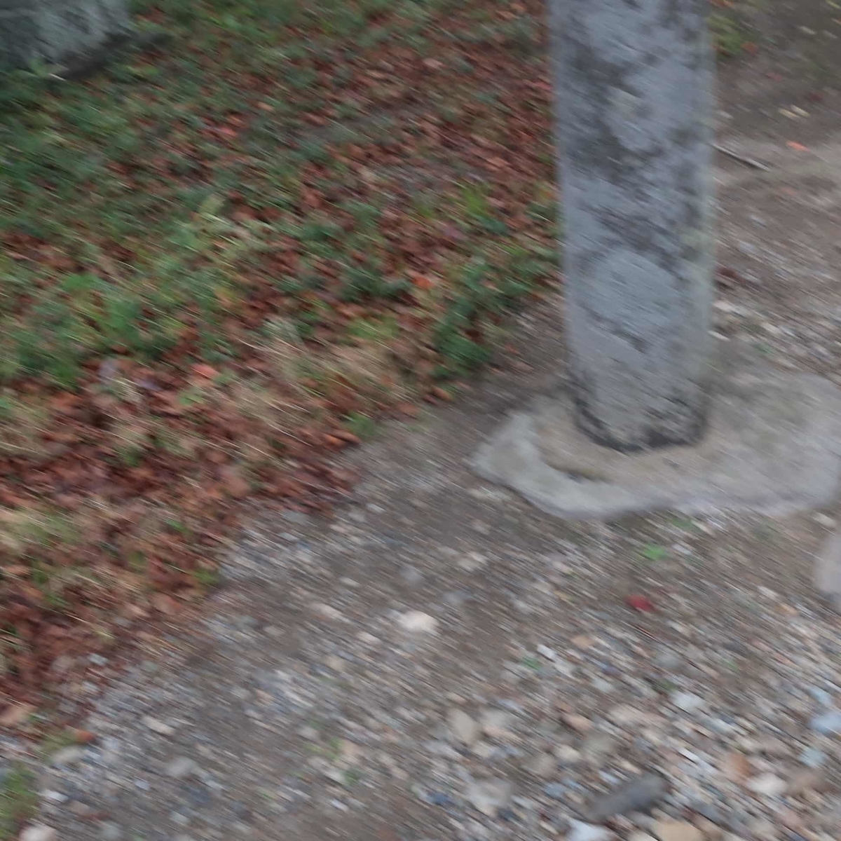 f:id:cycle_piyo:20191210075805j:plain