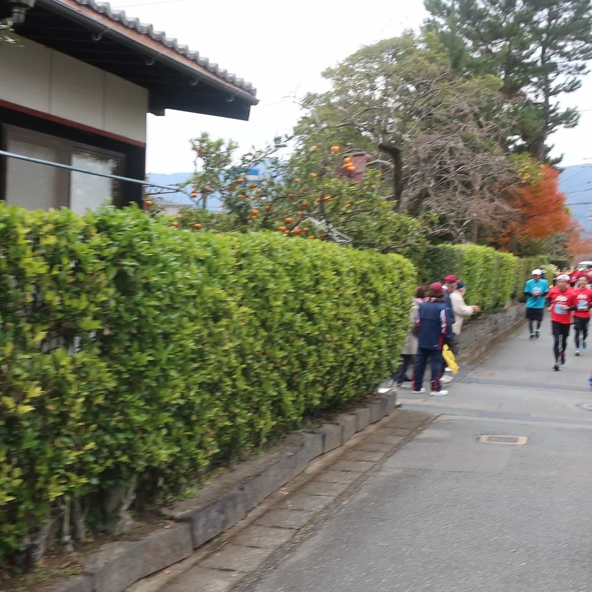 f:id:cycle_piyo:20191210080831j:plain