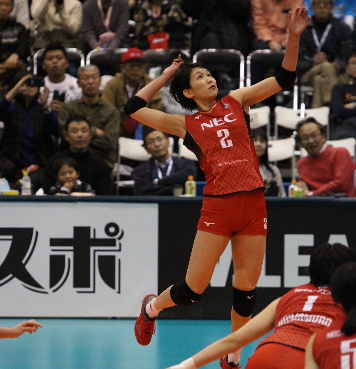 f:id:cycle_piyo:20191225012442j:plain