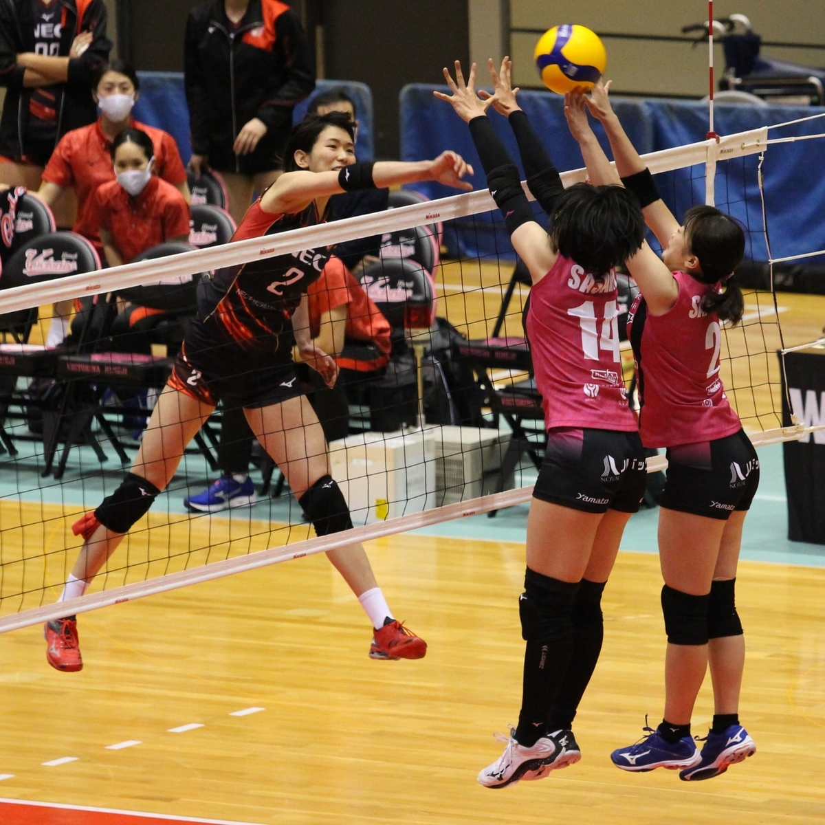 f:id:cycle_piyo:20201101234652j:plain f:id:cycle_piyo:20201101234652j:plain