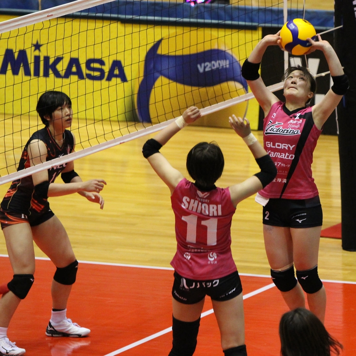 f:id:cycle_piyo:20201101234757j:plain f:id:cycle_piyo:20201101234757j:plain