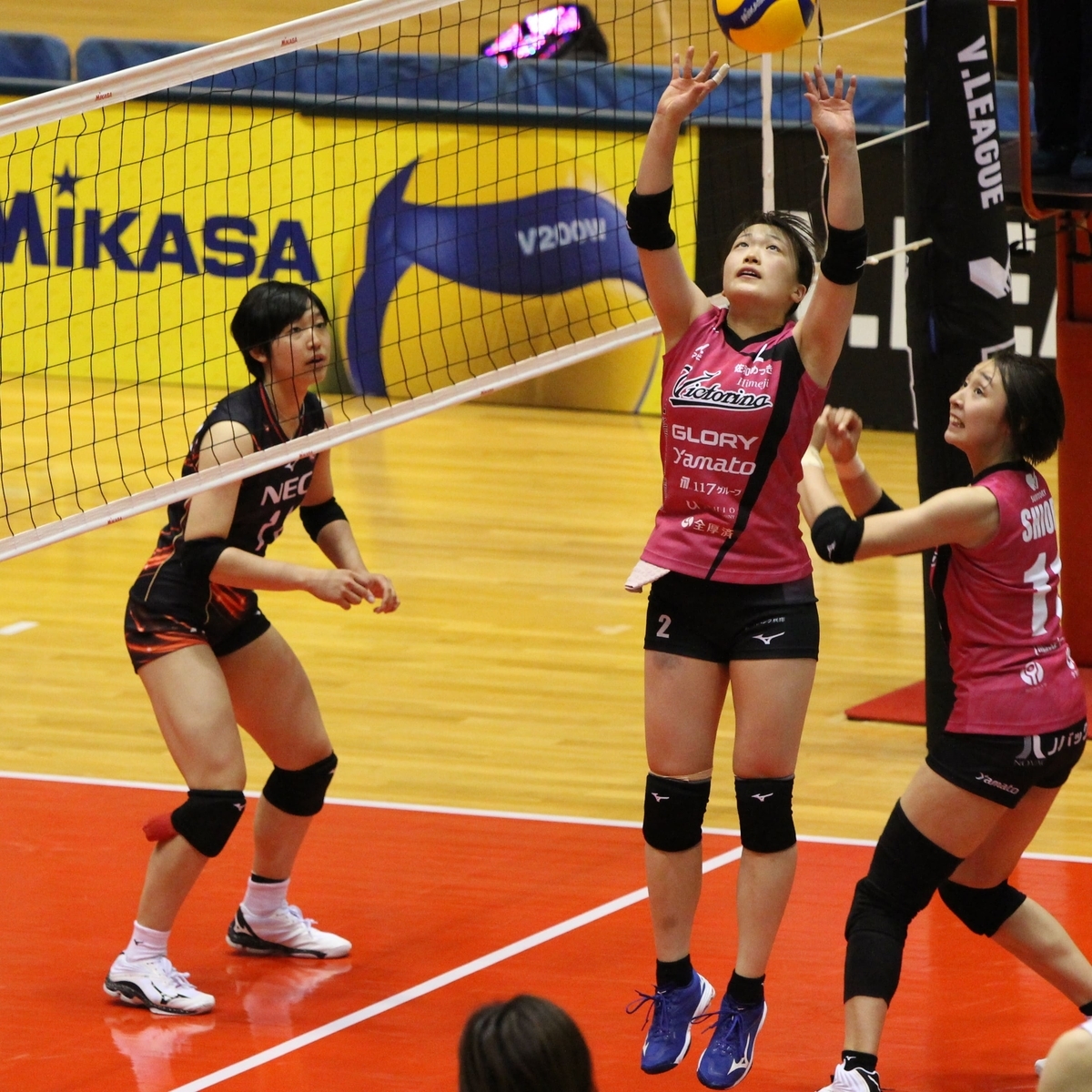 f:id:cycle_piyo:20201101234801j:plain f:id:cycle_piyo:20201101234801j:plain