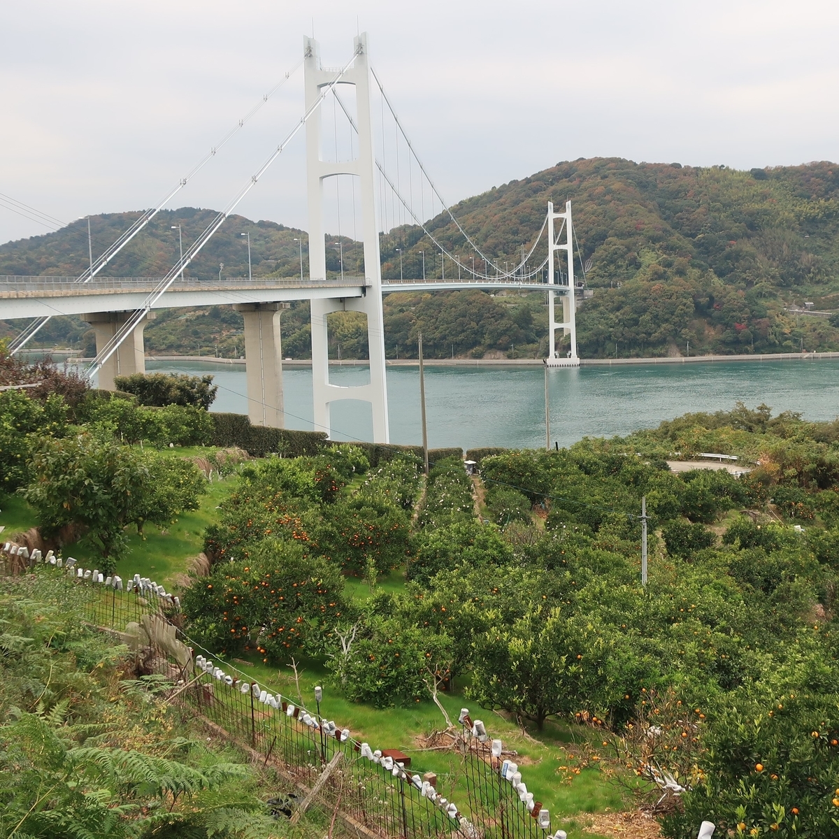 f:id:cycle_piyo:20201125095652j:plain