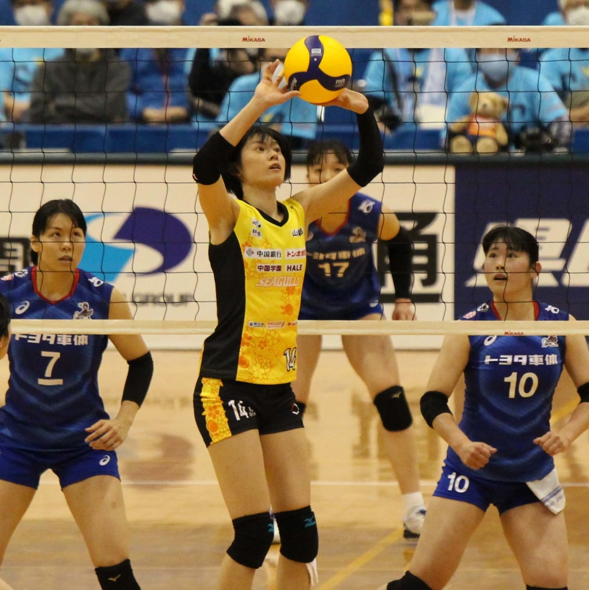 f:id:cycle_piyo:20201201002322j:plain