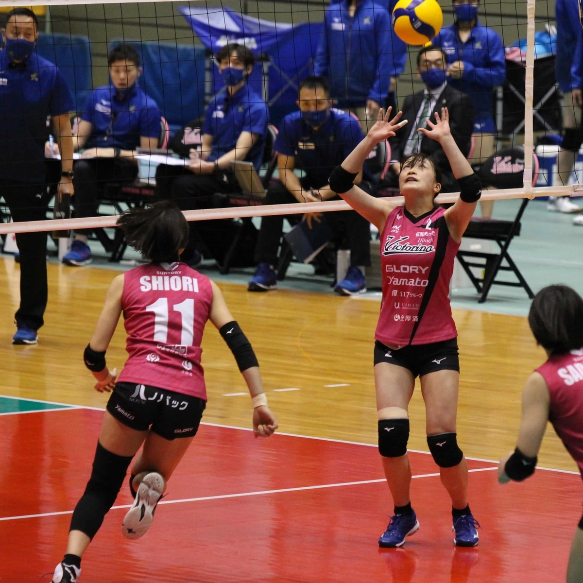 f:id:cycle_piyo:20210202093050j:plain