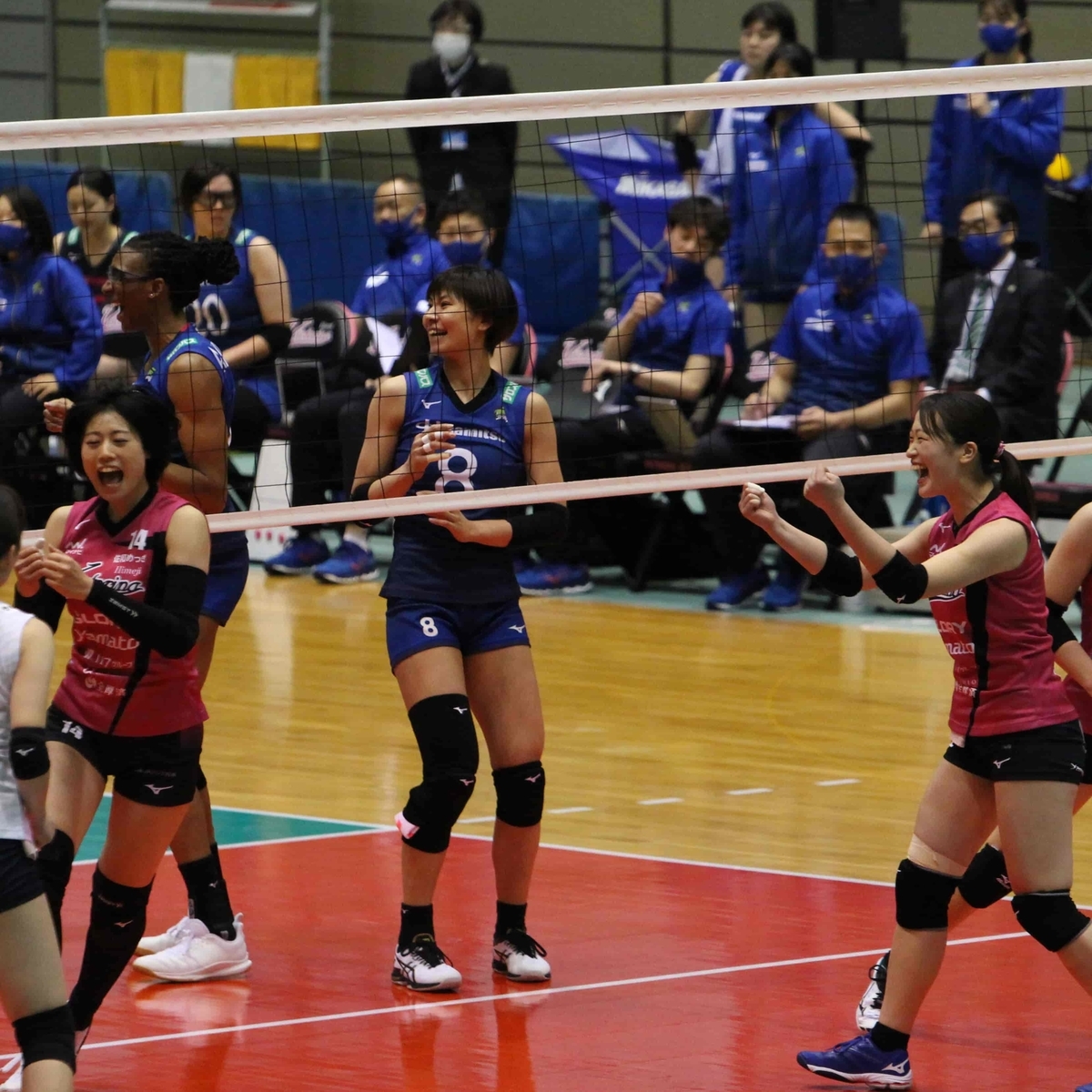 f:id:cycle_piyo:20210202095115j:plain