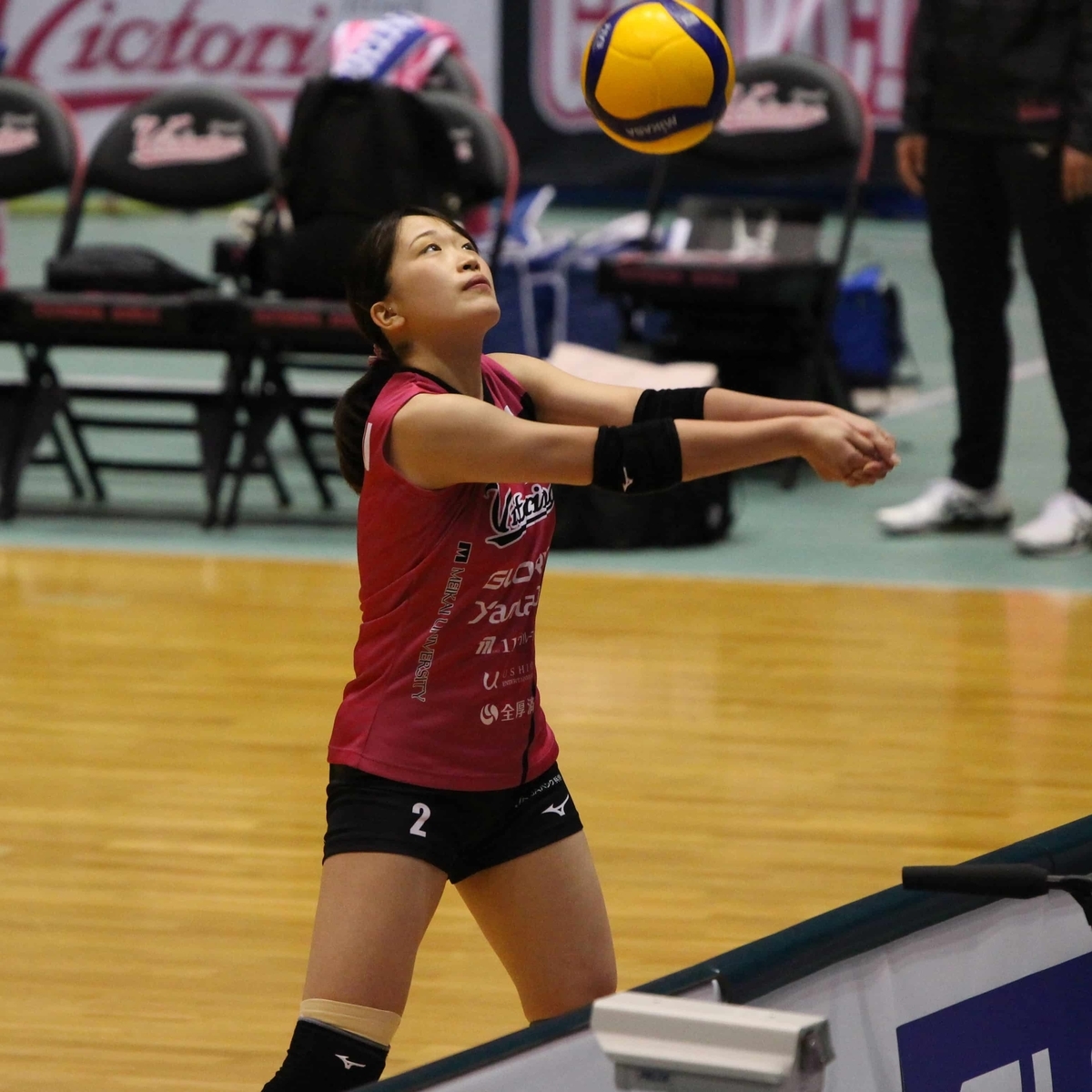 f:id:cycle_piyo:20210202101154j:plain