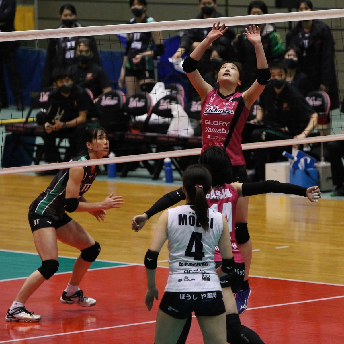 f:id:cycle_piyo:20210202101213j:plain