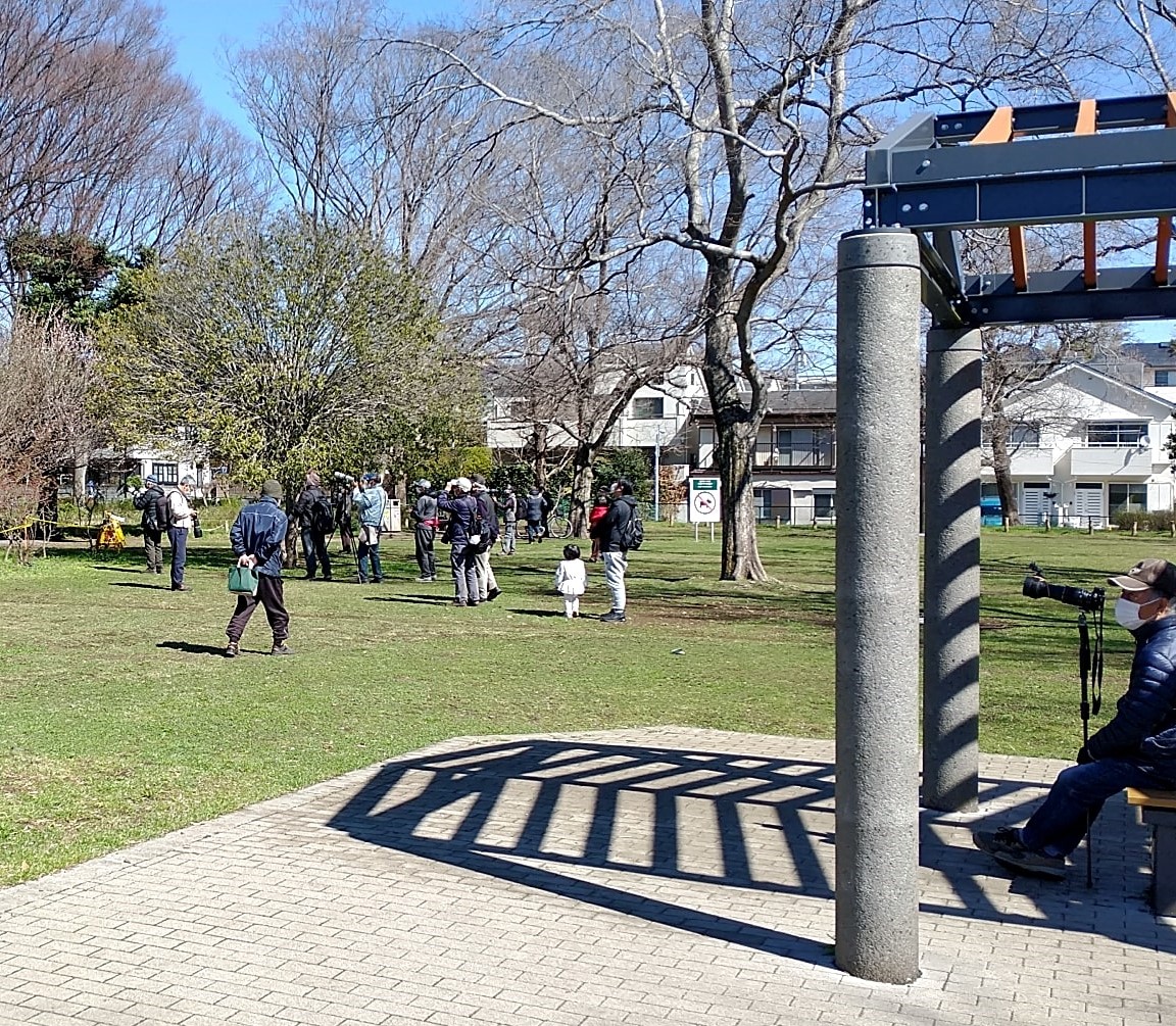 f:id:cycle_piyo:20210320044906j:plain