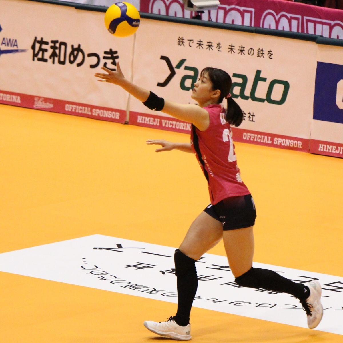 f:id:cycle_piyo:20211104132956j:plain