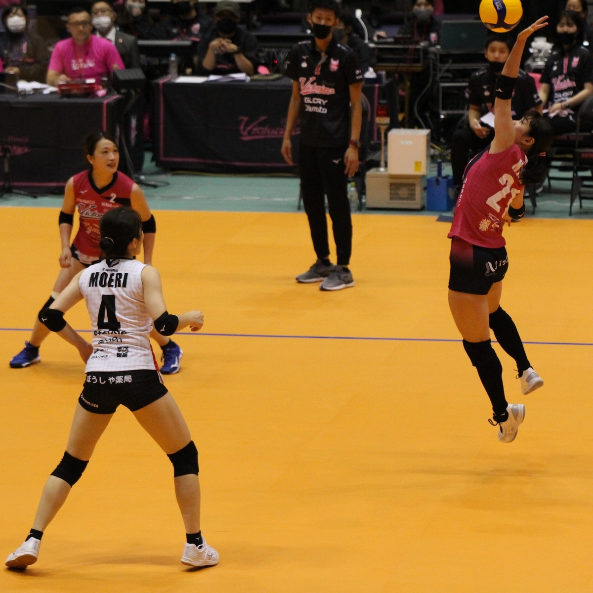 f:id:cycle_piyo:20211104133134j:plain