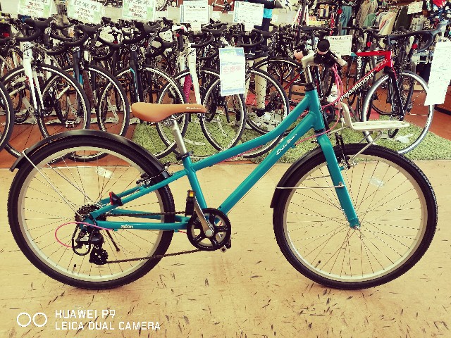 f:id:cycleshophodaka:20170506100544j:image