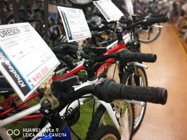 f:id:cycleshophodaka:20190421100123j:image