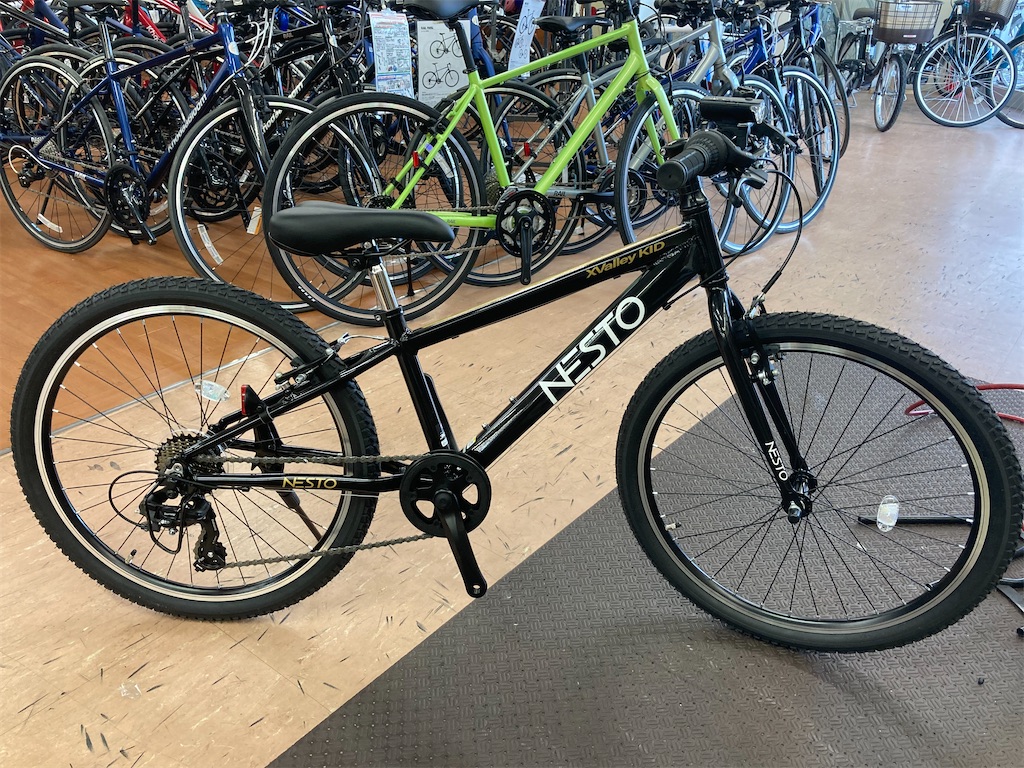 f:id:cycleshophodaka:20200712100121j:image