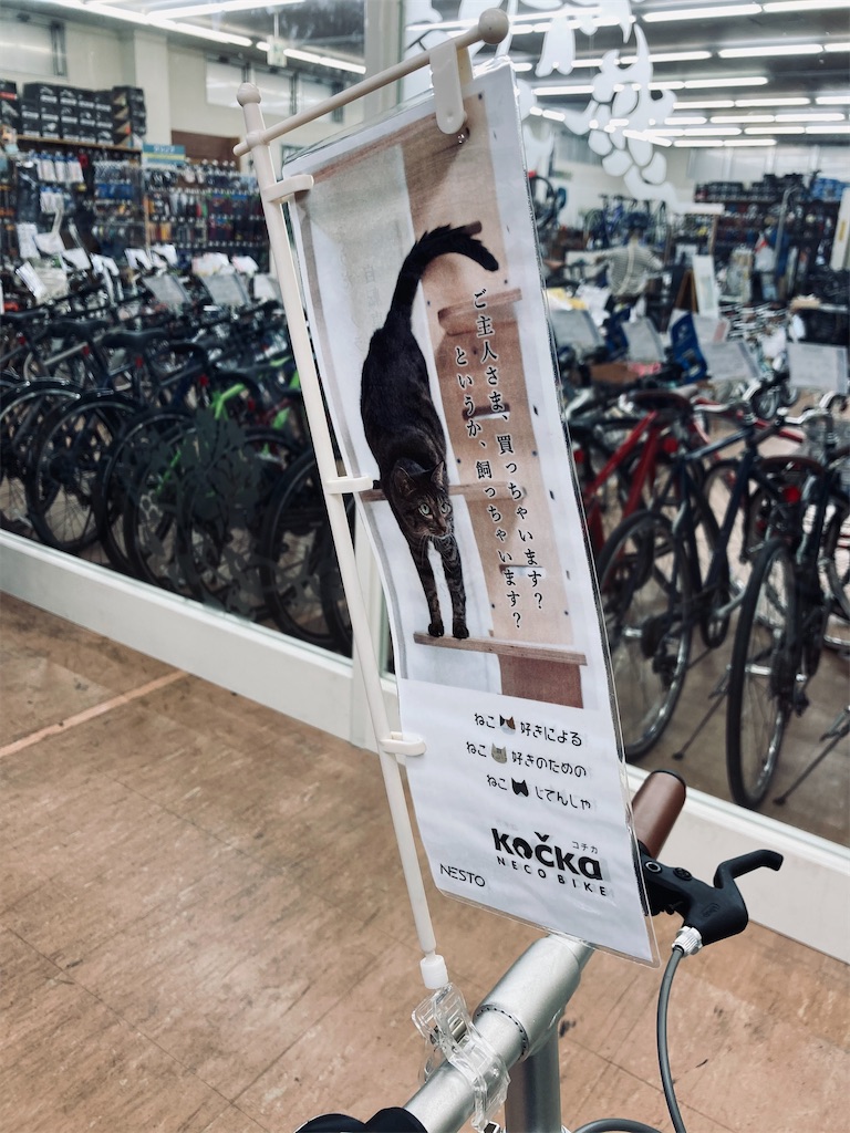 f:id:cycleshophodaka:20210228085525j:image