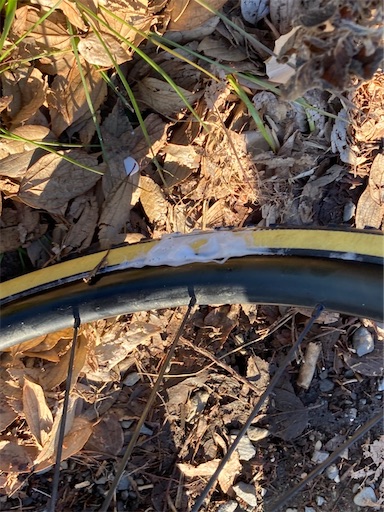 f:id:cyclinglog:20220112131217j:image f:id:cyclinglog:20220112131217j:image